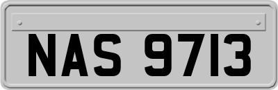 NAS9713