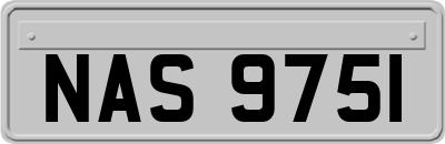 NAS9751