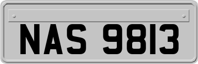 NAS9813