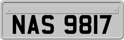 NAS9817