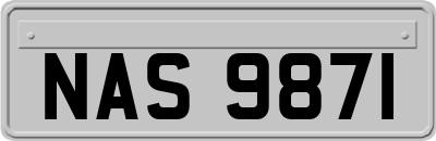 NAS9871