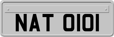 NAT0101