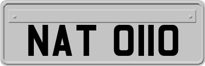 NAT0110