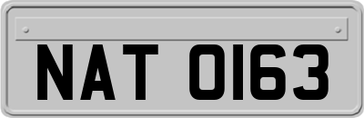 NAT0163