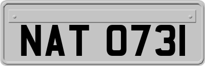 NAT0731