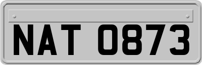 NAT0873