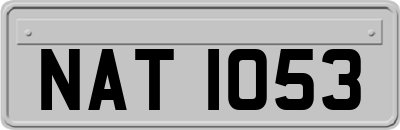 NAT1053