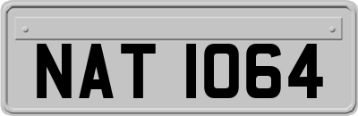 NAT1064