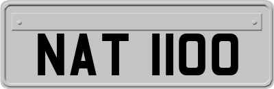 NAT1100