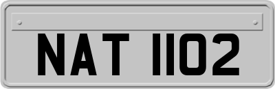 NAT1102