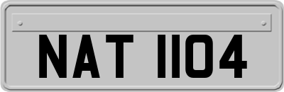 NAT1104