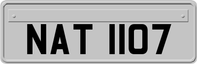 NAT1107