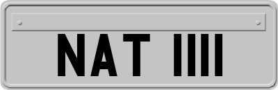 NAT1111