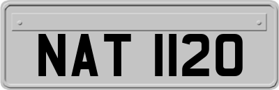 NAT1120