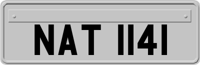 NAT1141