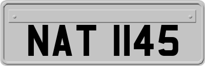 NAT1145