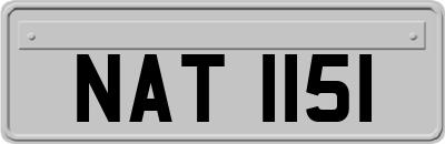 NAT1151