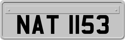 NAT1153