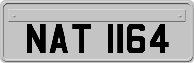 NAT1164