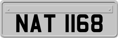 NAT1168