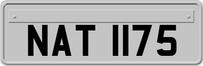 NAT1175