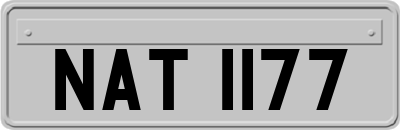 NAT1177