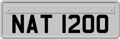 NAT1200