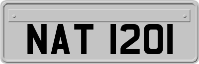 NAT1201