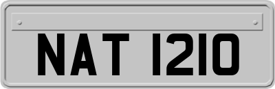 NAT1210