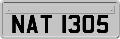 NAT1305