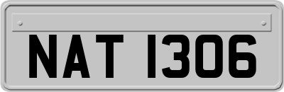 NAT1306