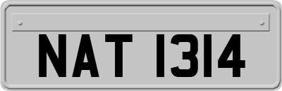 NAT1314