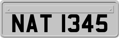 NAT1345