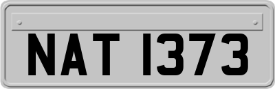 NAT1373