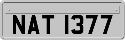 NAT1377