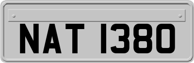 NAT1380