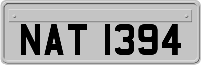 NAT1394