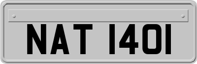 NAT1401