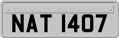 NAT1407