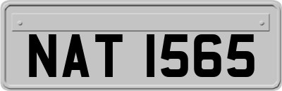 NAT1565