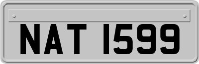 NAT1599