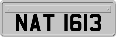 NAT1613