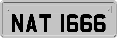 NAT1666