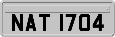 NAT1704