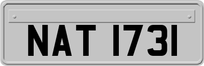 NAT1731