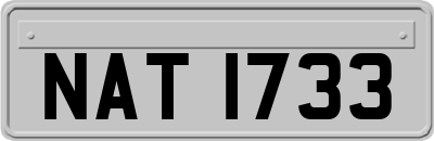 NAT1733