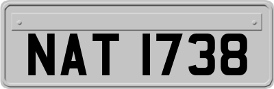 NAT1738