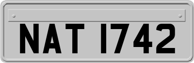 NAT1742