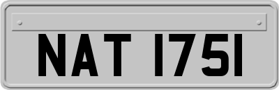 NAT1751