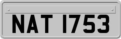 NAT1753